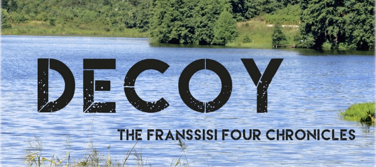 Review: Decoy by Joanna Steenen (Hannah Steenbock)