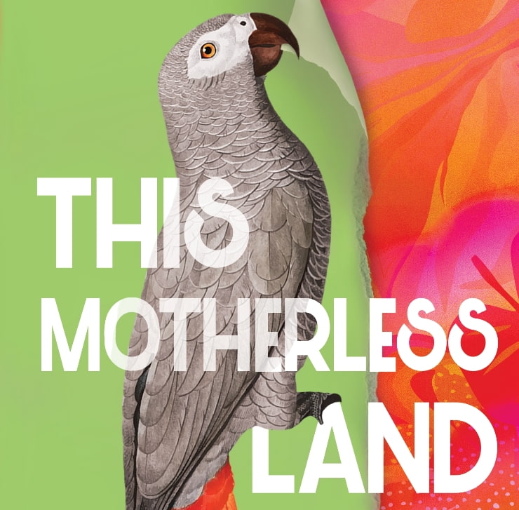 This Motherless Land